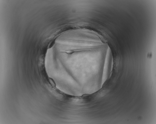 X0000112730284200909101459