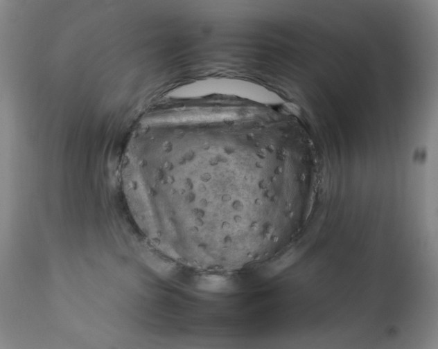 X0000112730285200909101459