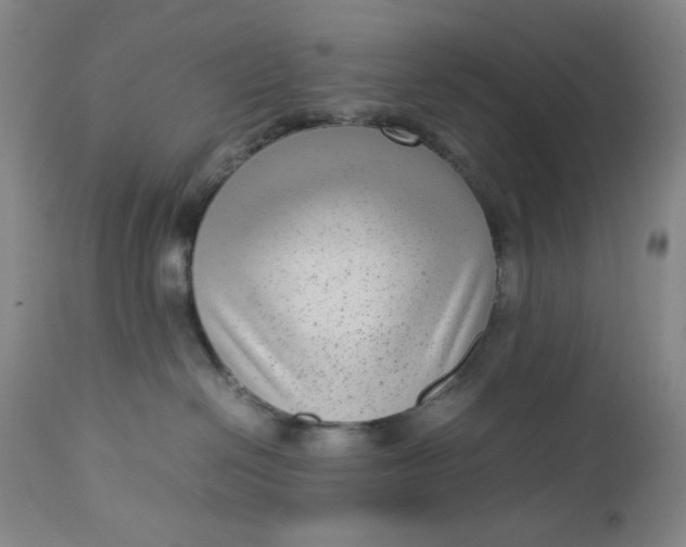 X0000112730286200909101459