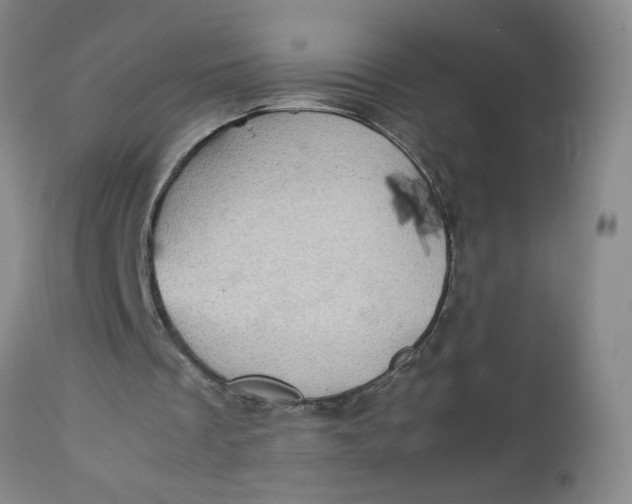 X0000112730289200909101458