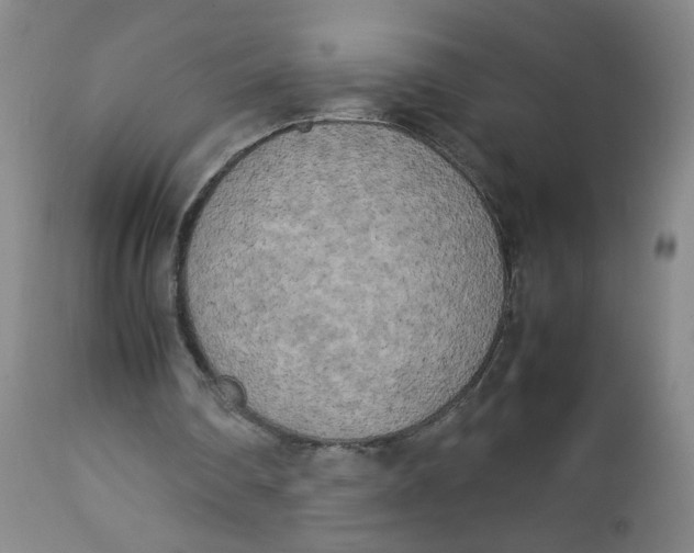 X0000112730290200909101458