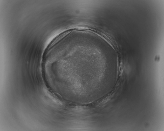 X0000112730292200909101458