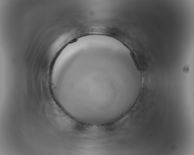 X0000112730293200909101458