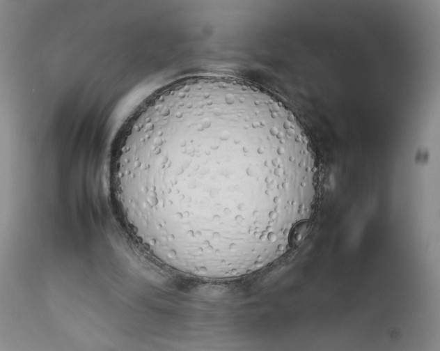 X0000112730294200909101458