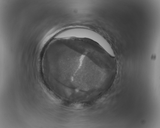 X0000112730295200909101458