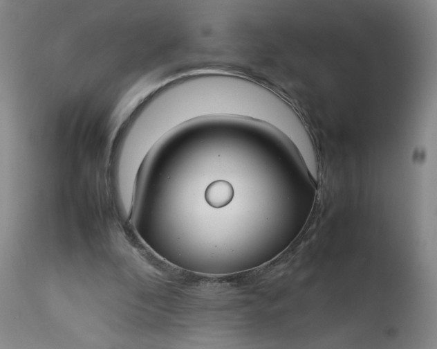 X0000112730296200909101458