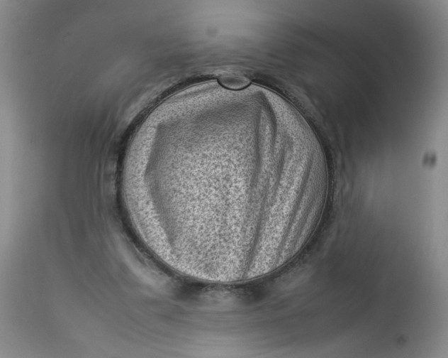 X0000112730299200909101458