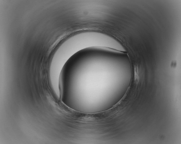 X0000112730300200909101458