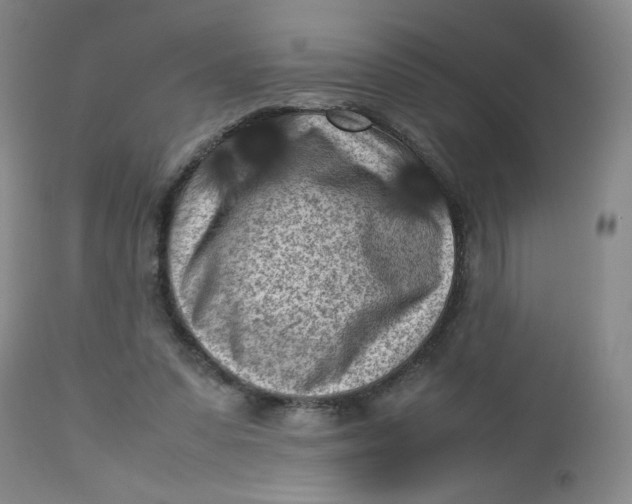 X0000112730303200909101458