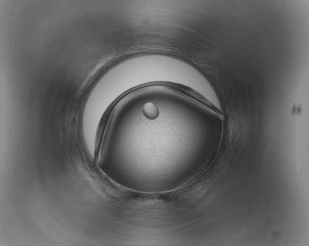 X0000112730304200909101458