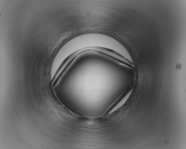 X0000112730308200909101458