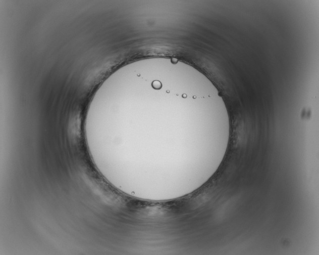 X0000112730310200909101458