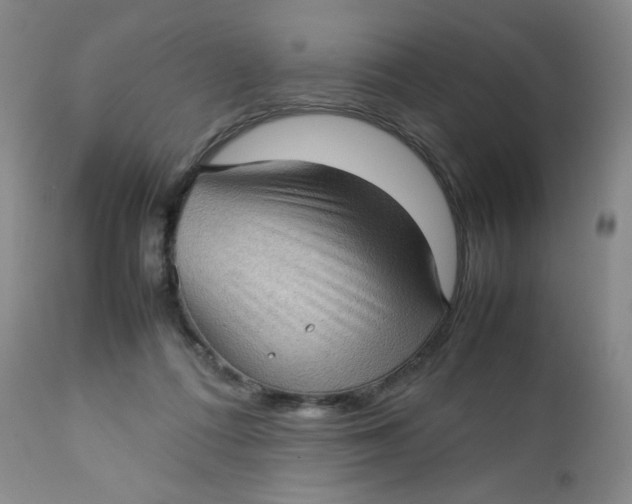 X0000112730312200909101458