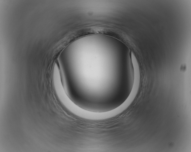 X0000112730313200909101458