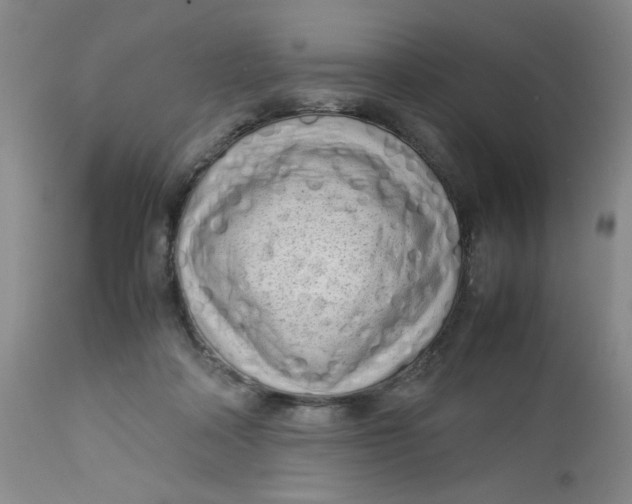 X0000112730314200909101458