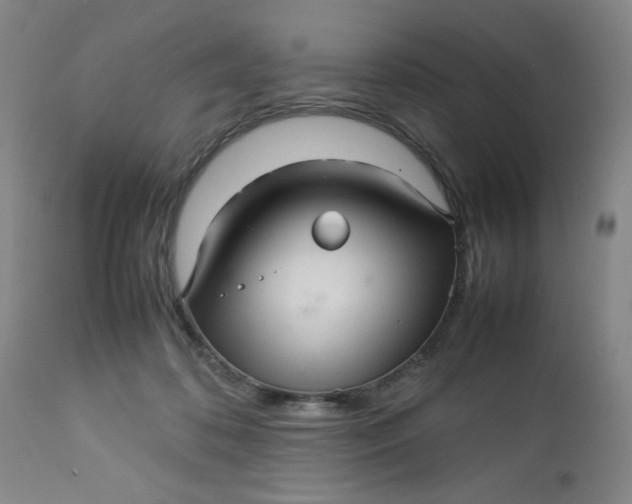 X0000112730316200909101458