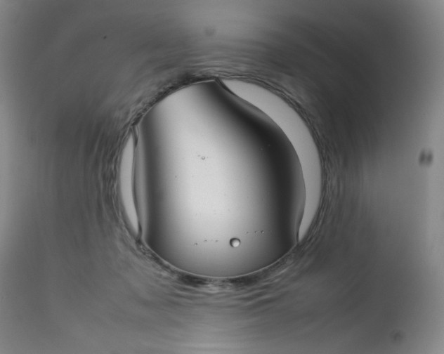 X0000112730317200909101458