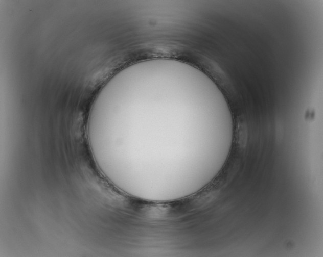 X0000112730318200909101458