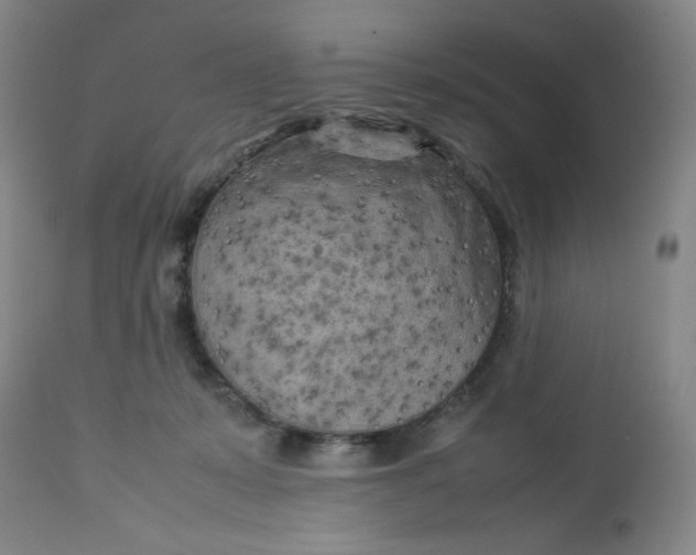 X0000112730319200909101458