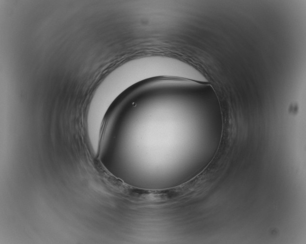 X0000112730320200909101458