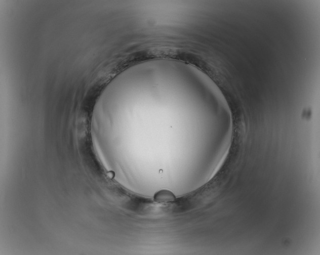 X0000112730323200909101458