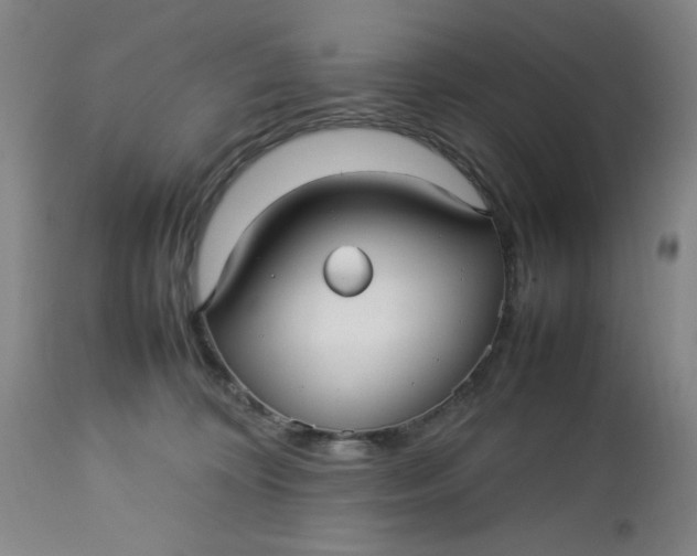 X0000112730324200909101458