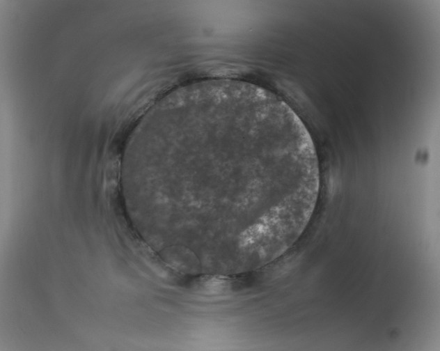 X0000112730325200909101458