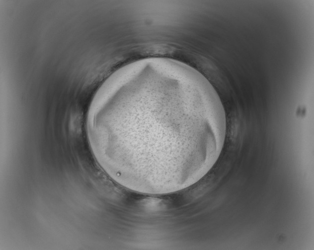 X0000112730326200909101458