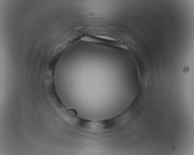 X0000112730327200909101458