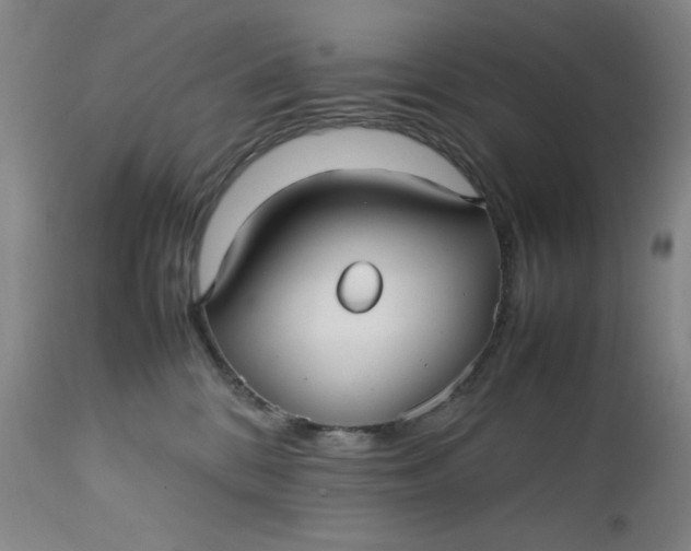 X0000112730328200909101458