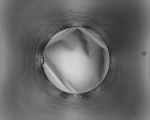 X0000112730329200909101458