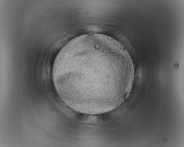 X0000112730330200909101458