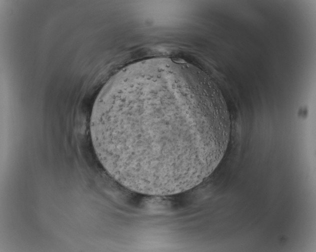 X0000112730331200909101458