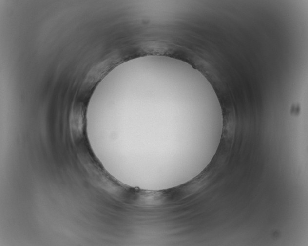 X0000112730334200909101458