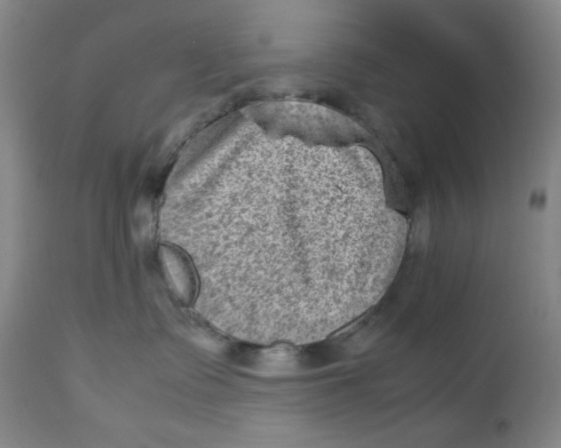 X0000112730335200909101458