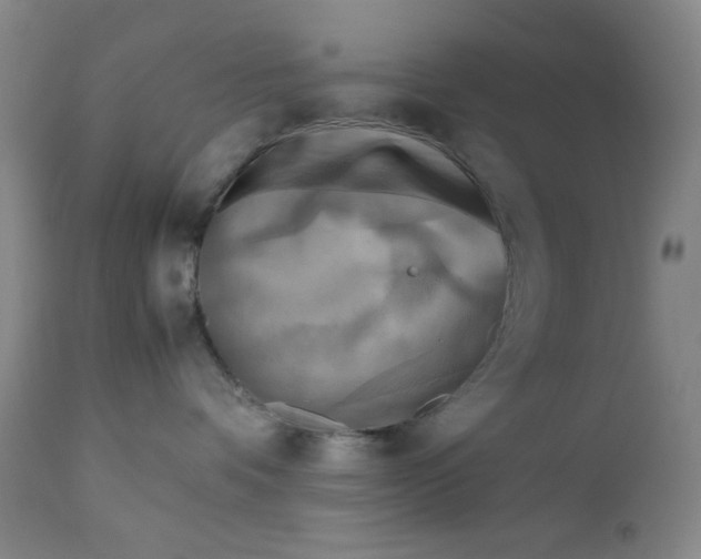 X0000112730336200909101458