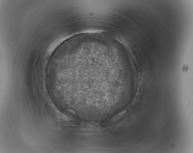 X0000112730337200909101457