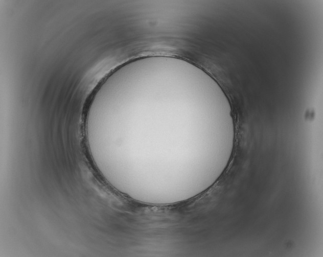 X0000112730338200909101457