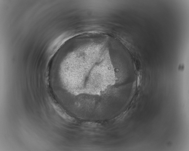 X0000112730339200909101457