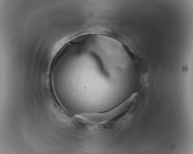 X0000112730340200909101457