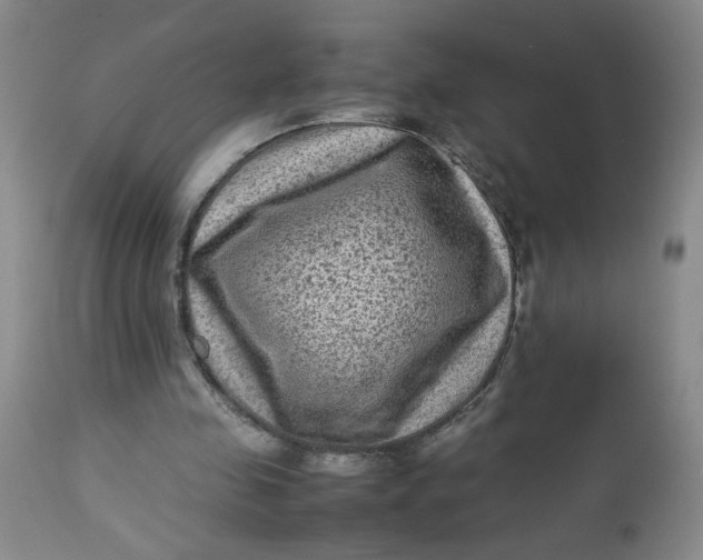 X0000112730341200909101457