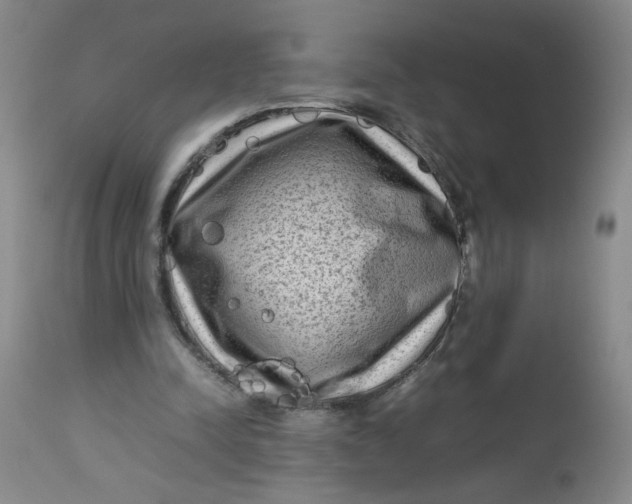 X0000112730342200909101457