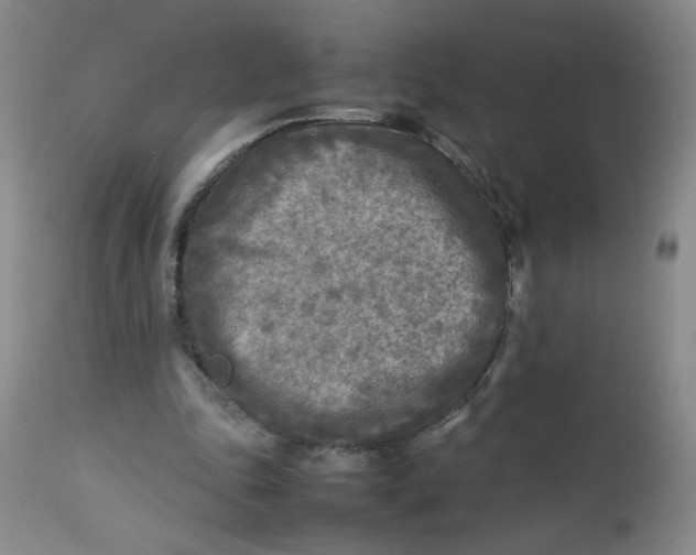 X0000112730343200909101457