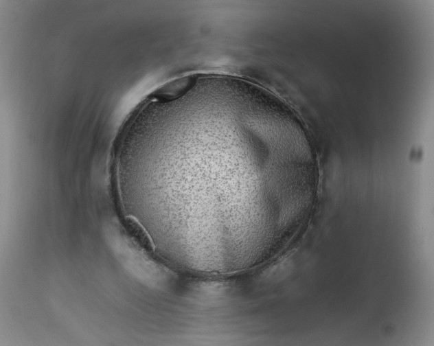 X0000112730344200909101457