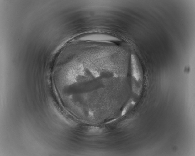 X0000112730347200909101457