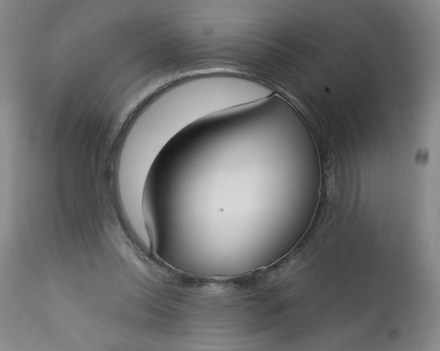 X0000112730350200909101457