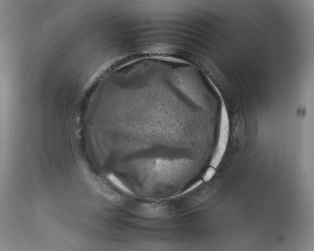 X0000112730351200909101457