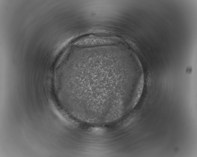 X0000112730352200909101457