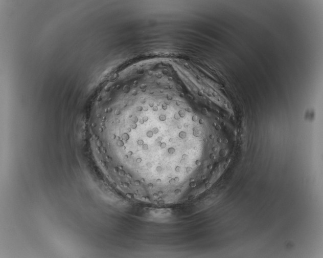 X0000112730355200909101457