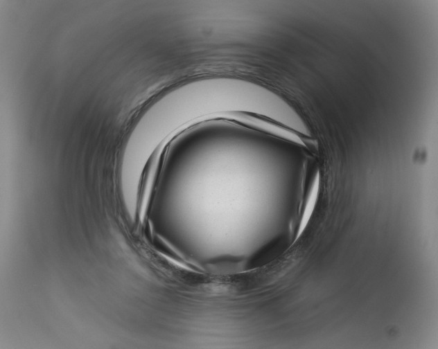 X0000112730356200909101457